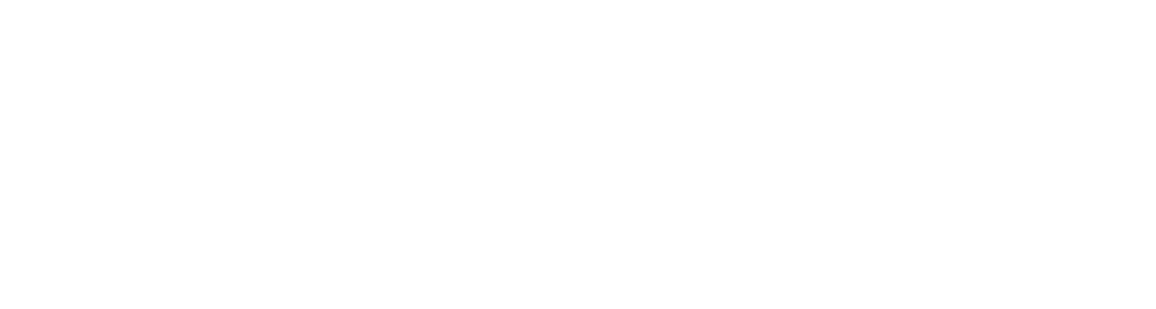 Vineyard_Retirement and Wealth Management_Logo_Horizontal_White