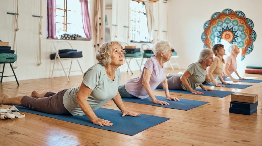 Yoga, exercise and elderly women stretching for balance, peace and wellness in zen studio. Meditation, calm and group of senior friends doing pilates workout for mind and body health in chakra class